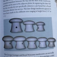 Royal Worcester Mushroom Pie Funnels